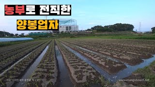 꿀 망한 양봉업자의 선택