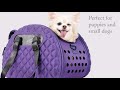 Видео о товаре Diamond Deluxe Pet Carrier Складная сумка-переноска, фиолетовая / Ibiyaya (Китай)