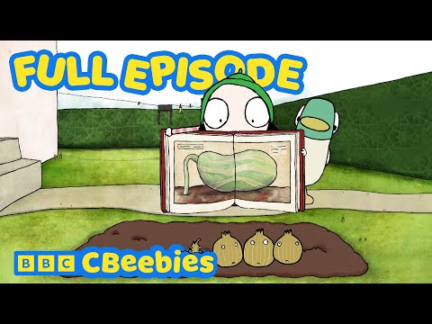 たくさんのエシャロット 🌱 | サラとダックン フルエピソード | CBeebies 🦆 (Lots of Shallots 🌱 | Sarah and Duck Full Episode | CBeebies 🦆)