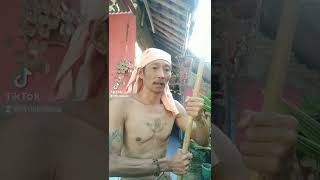 Download lagu Tik Tok lucu banget PENDEKAR 😁 mp3 Download lagu Tik Tok lucu banget PENDEKAR 😁 mp3