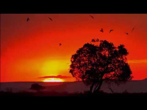 DJ Merlon Feat. Black Motion & Mondli Ngcobo - Tale Of The Monkeys