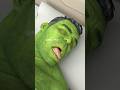 Marvel Animation 73 Hulk Is Dead                                   