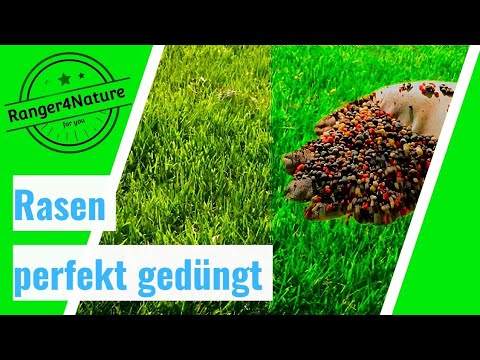Rasen OPTIMAL düngen⚕️ und kalken 🤠 #rasenpflege #ranger4nature