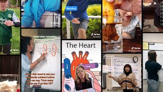 A Classroom Without Walls: Teachers Take Their Lessons to TikTok
