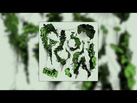 TMSV -  Housing [Audio]