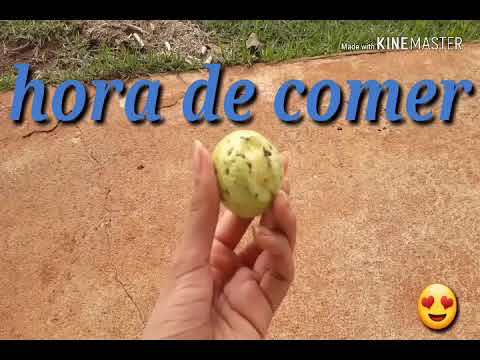 O dia inteiro com a gente/vlog/faculdade ufgd