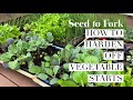 How to Harden Off Vegetable Starts