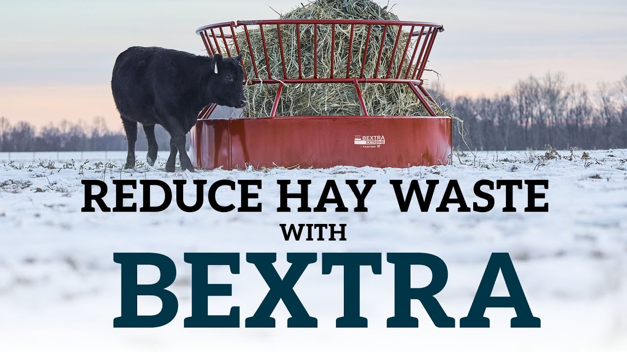 Bextra Heavy Feeders