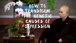 How to transform the genetic causes of depression?