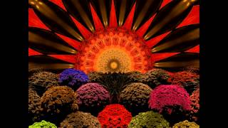 Audio Active & Laraaji - Laraajingle (Live)