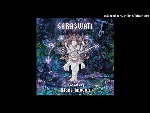 Biophotons - Social Contract