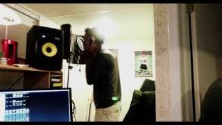 Blue Stahli - Down In Flames [Bullet of Reason VOX COVER]