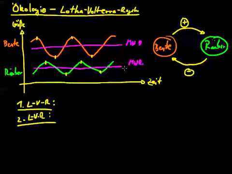Ökologie   3 Lotka Volterra Regeln