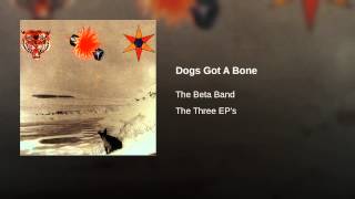 Dogs Got A Bone