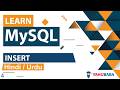 MySQL Insert Tutorial In Hindi Urdu