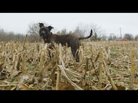 Farm Dog of the Year: People's Choice Pup