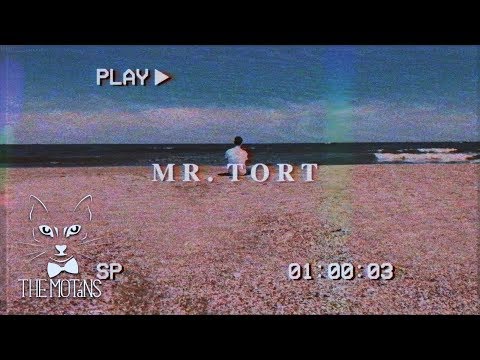 The Motans - Mr. Tort | Videoclip Oficial