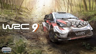 WRC 9 (PC)
