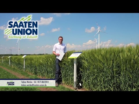 Saaten-Union: Wintergerste TITUS mz (Vertriebsberater Tobias Weiske)