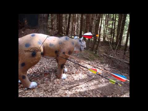 Spring is in the Air / Frühling ist in der Luft