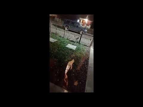 Noticias Granizo esta noche en Cuaró, en el departamento de Artigas, #Uruguay