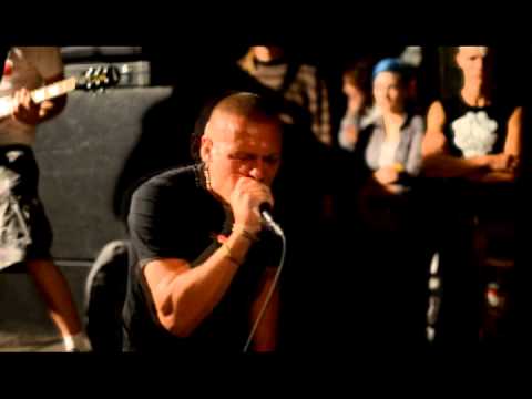 Nepatiesi Bet Fakts - Kauns ( videoklips)