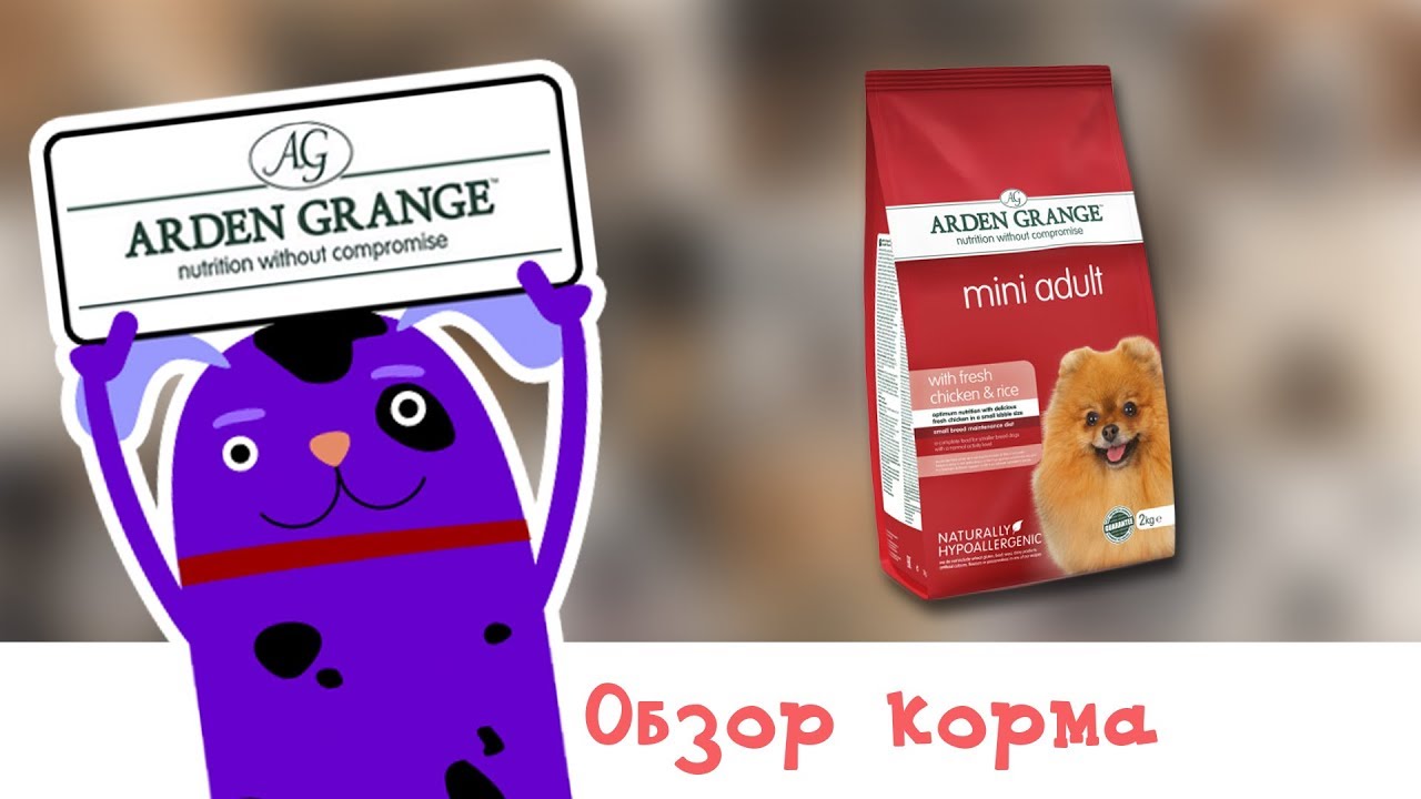 Обзор корма Arden Grange Adult Dog Mini with Chicken and Rice