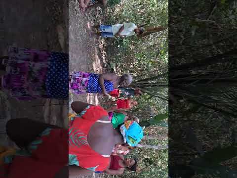 PROMEÇA  EM CASTELO TAMBO DE CRIOLA  SANGRANDO  PRESIDENTE JUSCELINO MA 