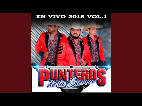 Tus Bellos Pechos (En Vivo)