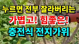 두릅 가지치기 필수품 전지가위, 가볍고 힘이 좋아 깜짝 놀랐아요! 무선 충전식 전지가위