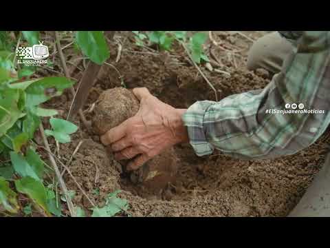 22 de abril día de la tierra   San Juan Nepomuceno Bolívar