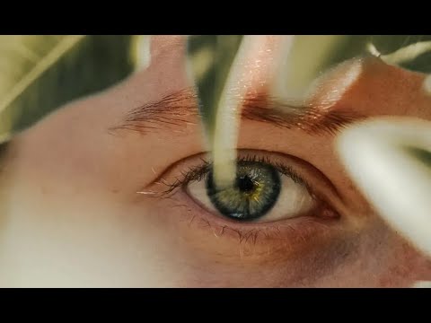 Ich liebe meine Frau nicht mehr – Was tun, wenn die Liebe erlischt