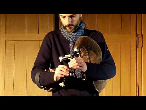 Fête de l' Âne 2017   Sens   François Lazarevitch   Muse et Musette  01 © gl phot@yahoo fr