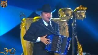 Los tigres del norte como aceite y como el agua
