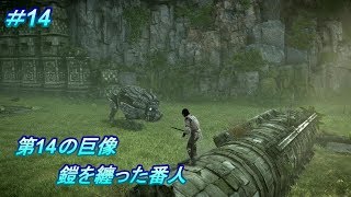 第14の巨像！鎧を纏った番人！PS4版「ワンダと巨像」（Shadow of the Colossus）#14