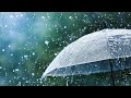 Rain Status Video Barish Whatsapp Status And Natural Status Video Shorts Youtubevideo