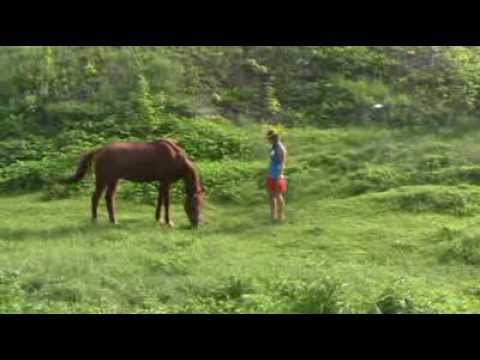 ЧЕРЕМШИНА - (remix) St.Brinza (СТАСИС БРЫНЗА) / Dj. MAG-MAX