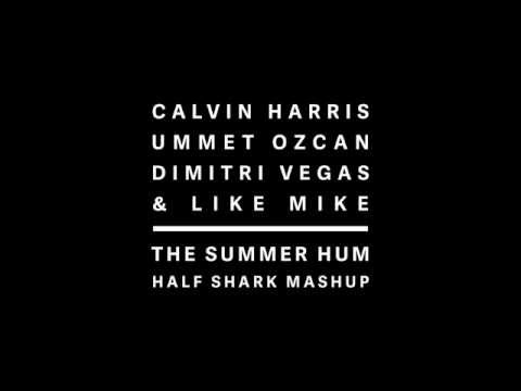 Calvin Harris vs. Dimitri Vegas, Like Mike & Ummet Ozcan - The Summer Hum (Half Shark MashUp)