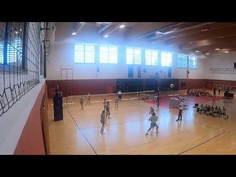 NKBM Branik x OK SB MS 13.4.24 1/2