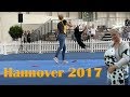 INTERNATIONALE RASSEHUNDE-AUSSTELLUNG - HANNOVER