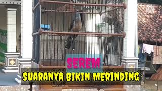 Download lagu Kedasih uncuing mp3