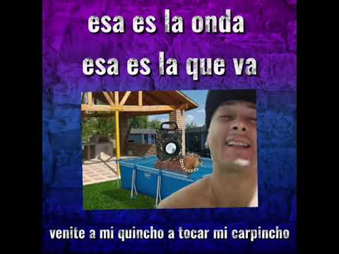 el pum plena - el carpincho.