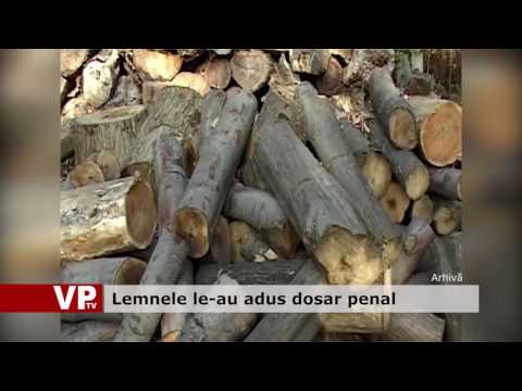 Lemnele le-au adus dosar penal
