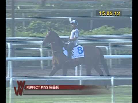 KrisFlyer International Sprint 2012 Trackwork (1)