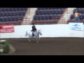 My White Light at Harrisburg Horse Show 2014 PreChildrens Pony Hunter 2nd trip