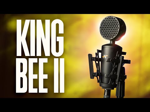NEAT Microphones King Bee II Review — Budget XLR broadcast sounding microphone