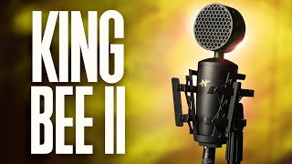 Video thumbnail for NEAT Microphones King Bee II Review — Budget XLR broadcast sounding microphone by Curtis Judd