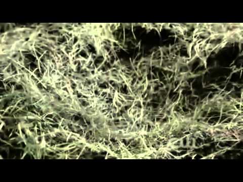 Castiel tells his story from the end of Revelation.