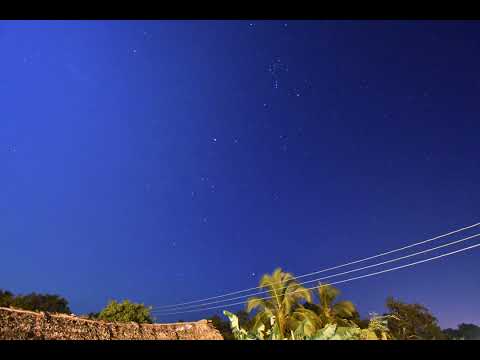 A tropical night I (2 frames per second)