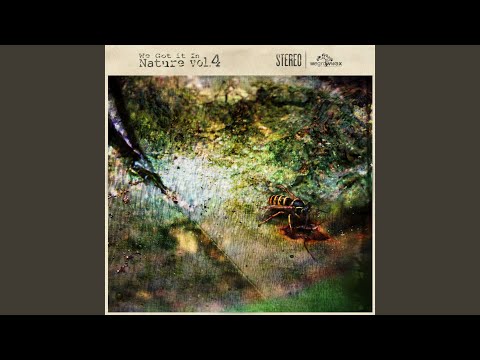 Nobody Knows (feat. Rob KP)